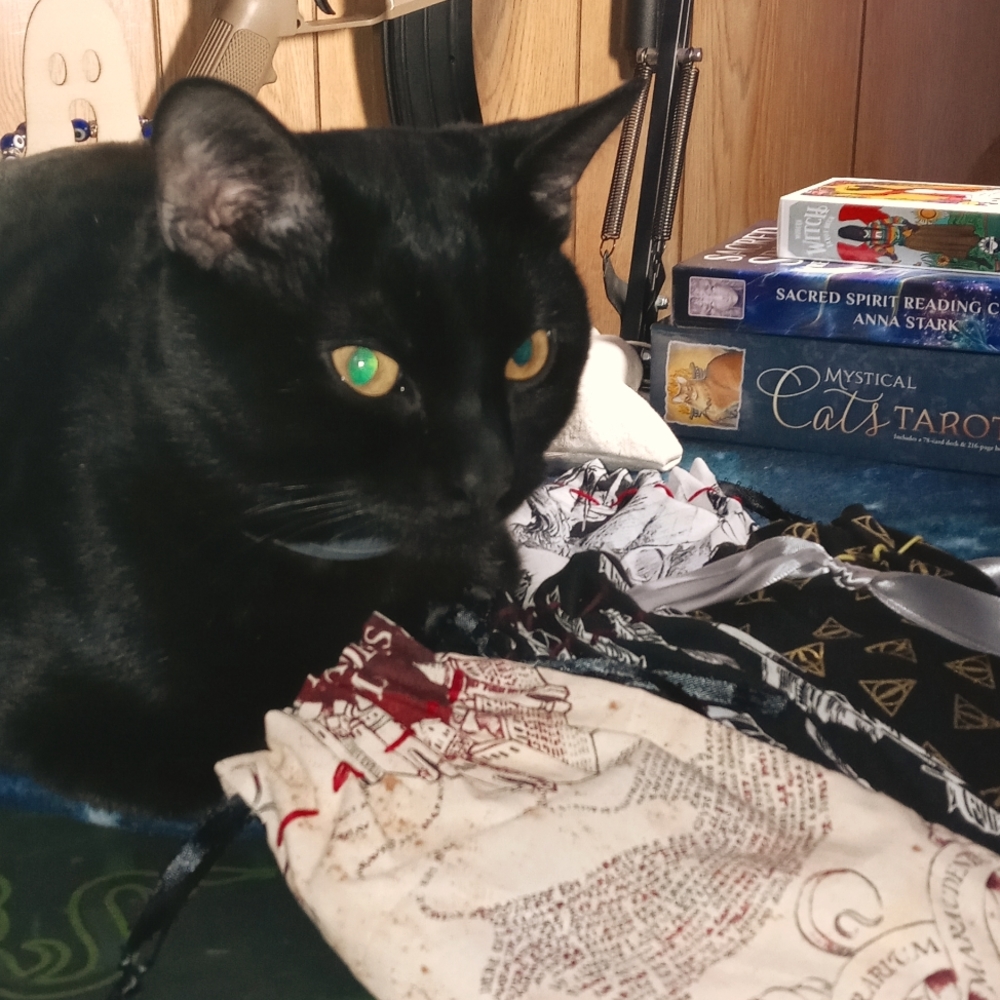 Khajiit has Wares,
